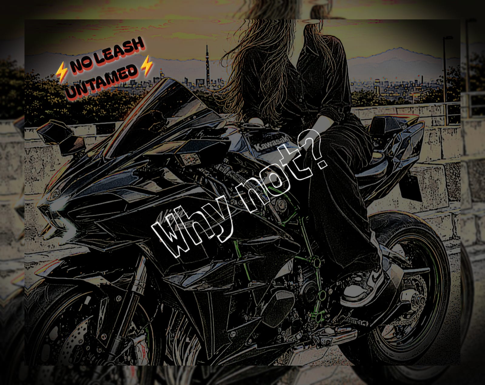 Motorcycle artwork with bold Why Not lettering